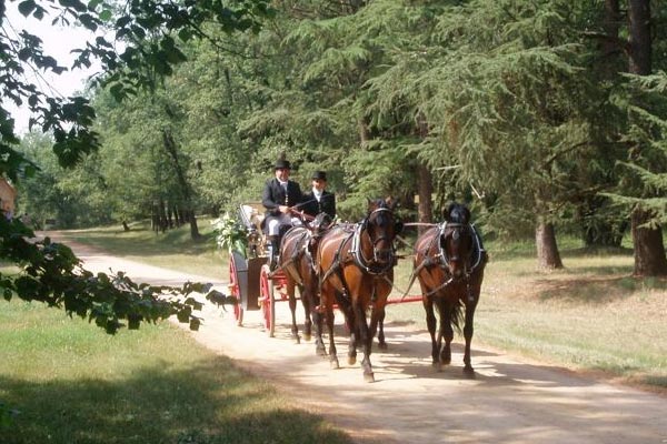 Llegar-en-un-coche-de-caballos-